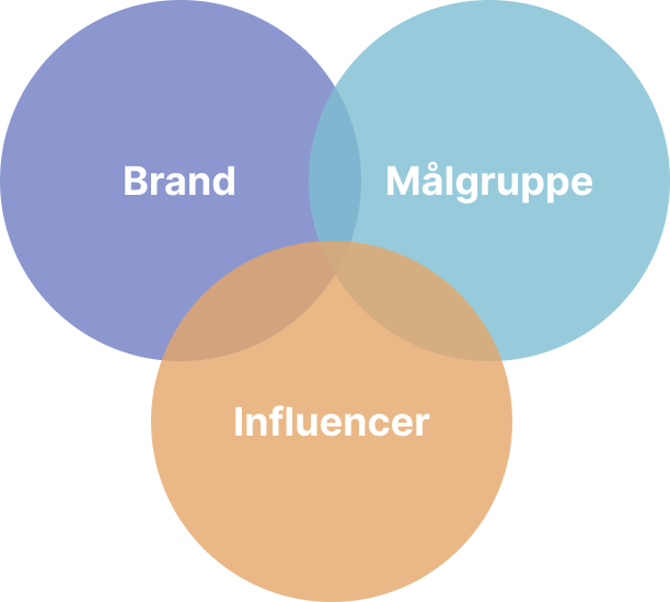 Brand vs Target group vs Influencer